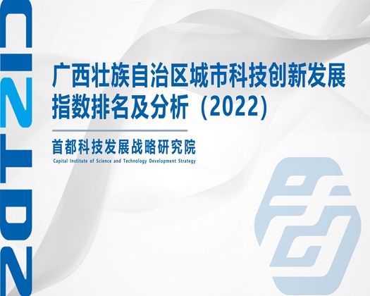 空姐口交扣屄【成果发布】广西壮族自治区城市科技创新发展指数排名及分析（2022）